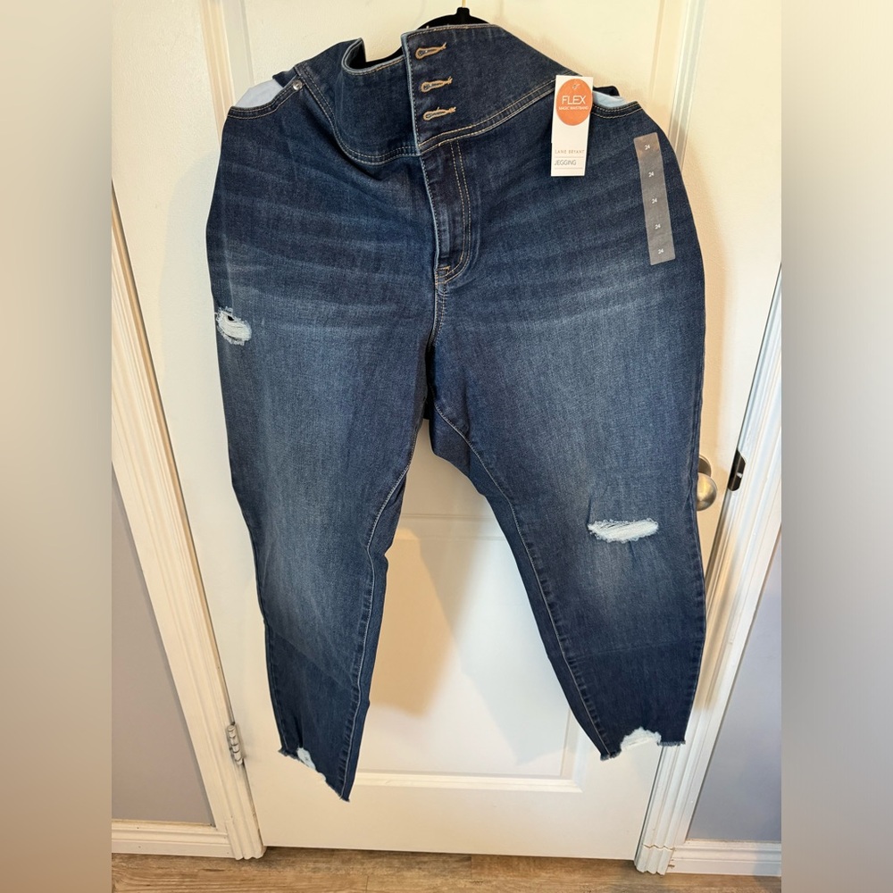 Lane Bryant Distressed Flex Magic Waistband Jeggings NWT